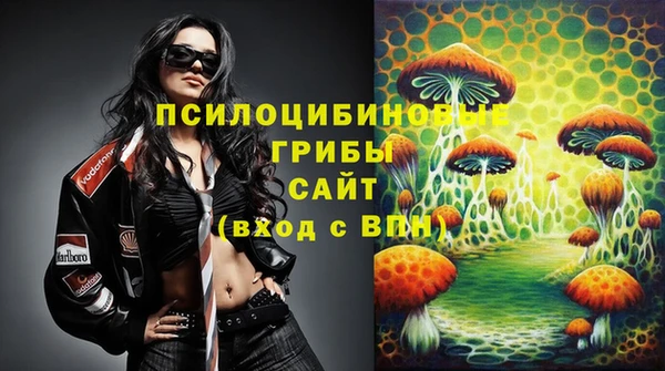 амф Алексин